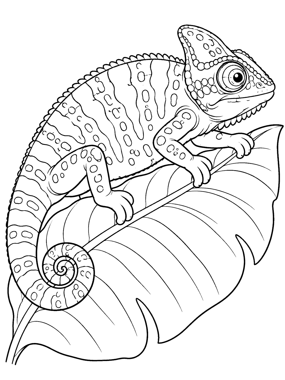 A chameleon with a curled tail and four gripping feet rests on a large tropical leaf.