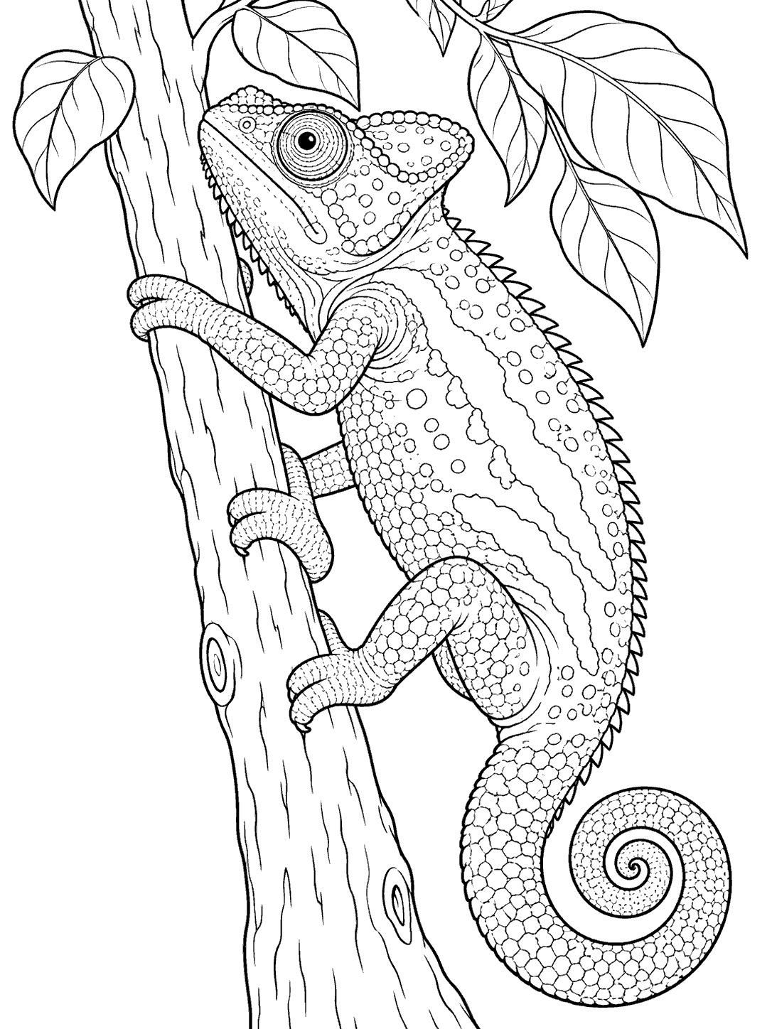 A detailed chameleon climbing a tree trunk, with broad leaves above and its tail curled to the side.