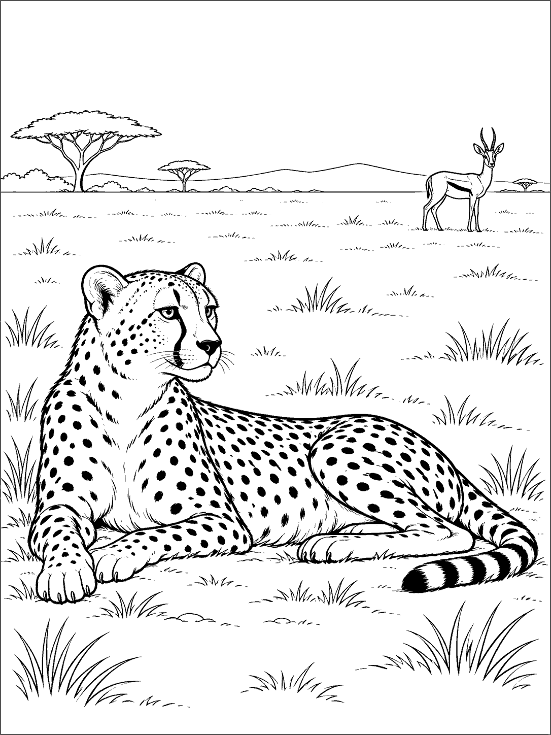 Large resting cheetah in the foreground with a distant standing gazelle, sparse grasses, and a horizon in a black-and-white coloring page.
