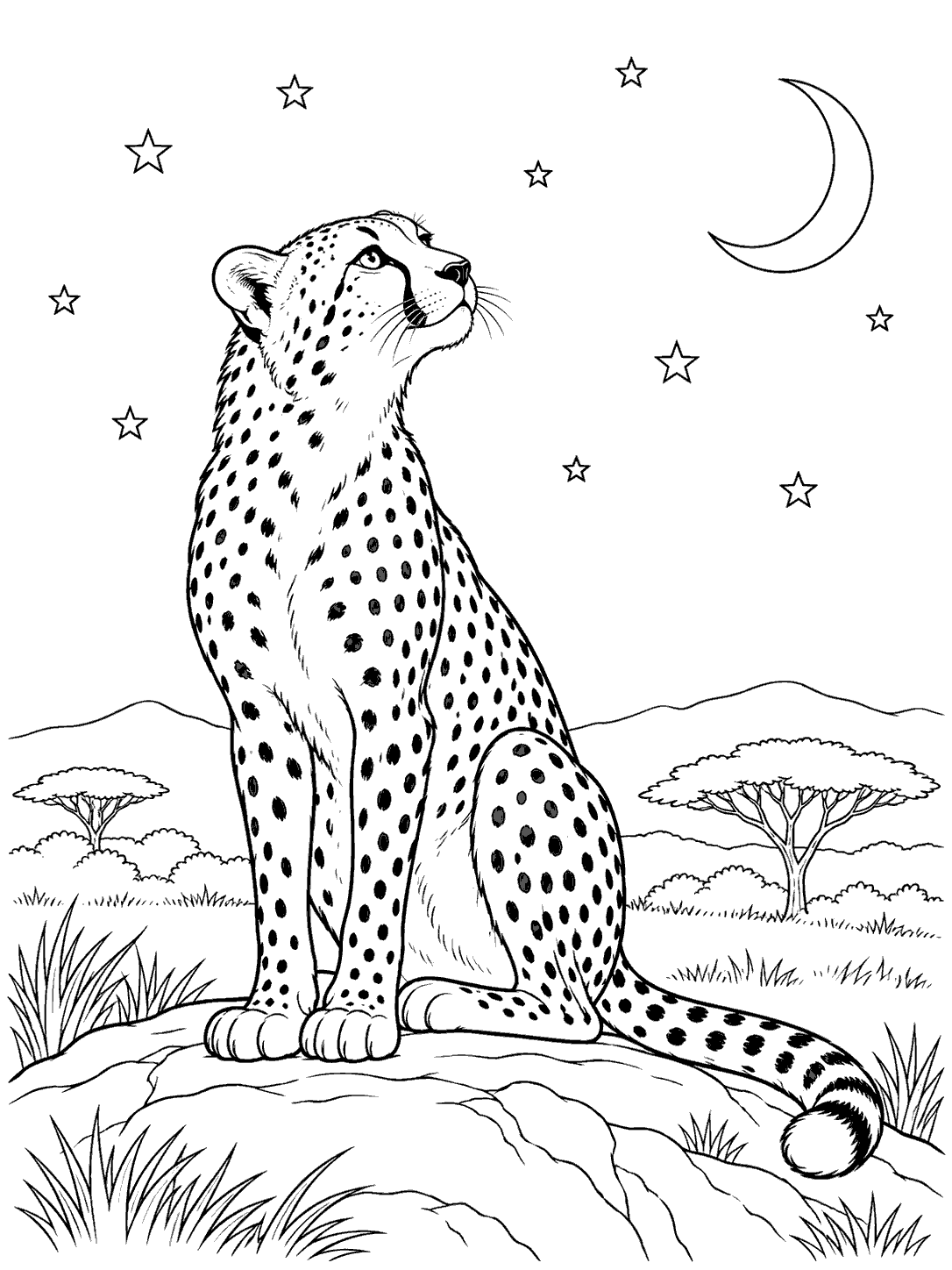 Seated spotted cheetah looking up at a crescent moon and outlined stars on a coloring page