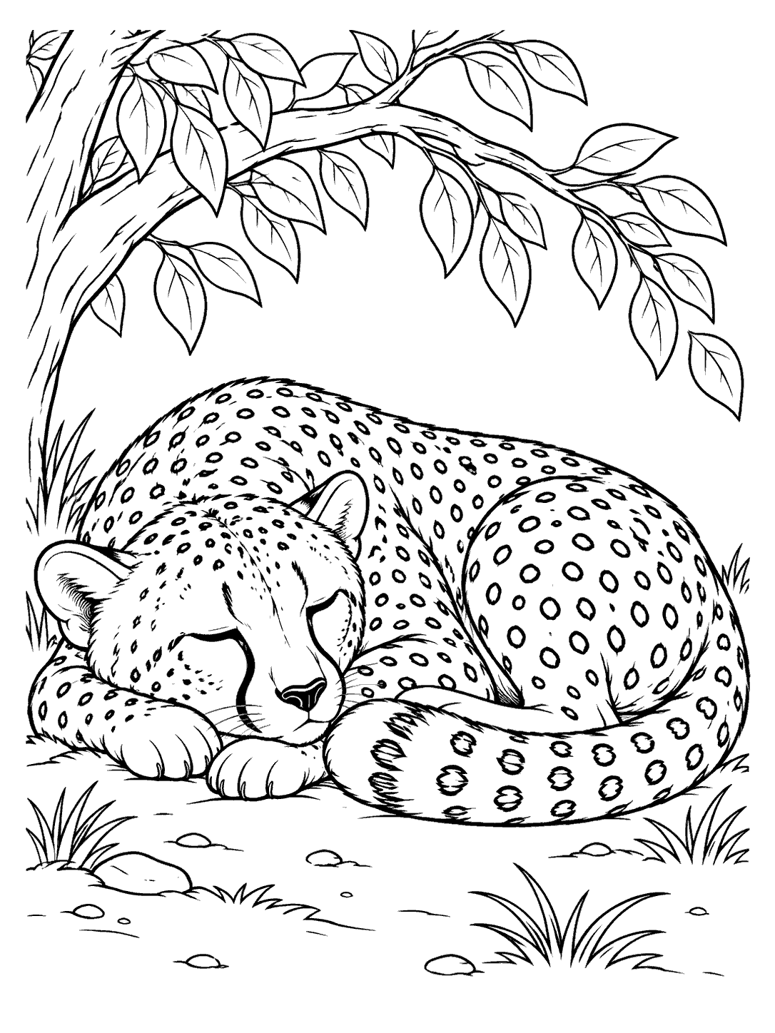 Cheetah curled up napping beneath a leafy branch coloring page
