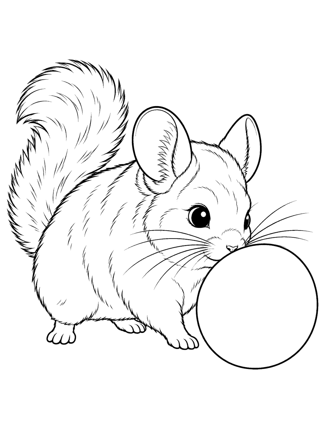 Chinchilla nudging a large ball coloring page