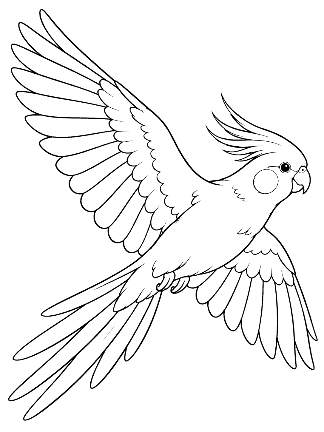 Cockatiel gliding with wings spread coloring page