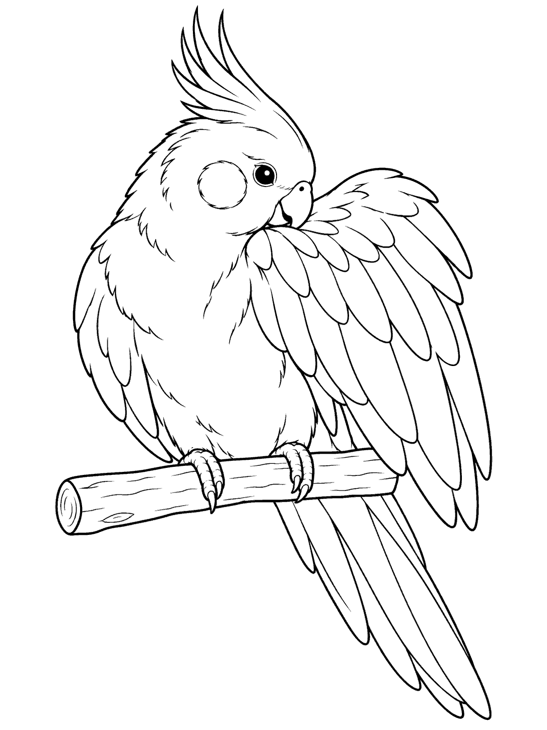 Cockatiel preening its wing on a perch coloring page