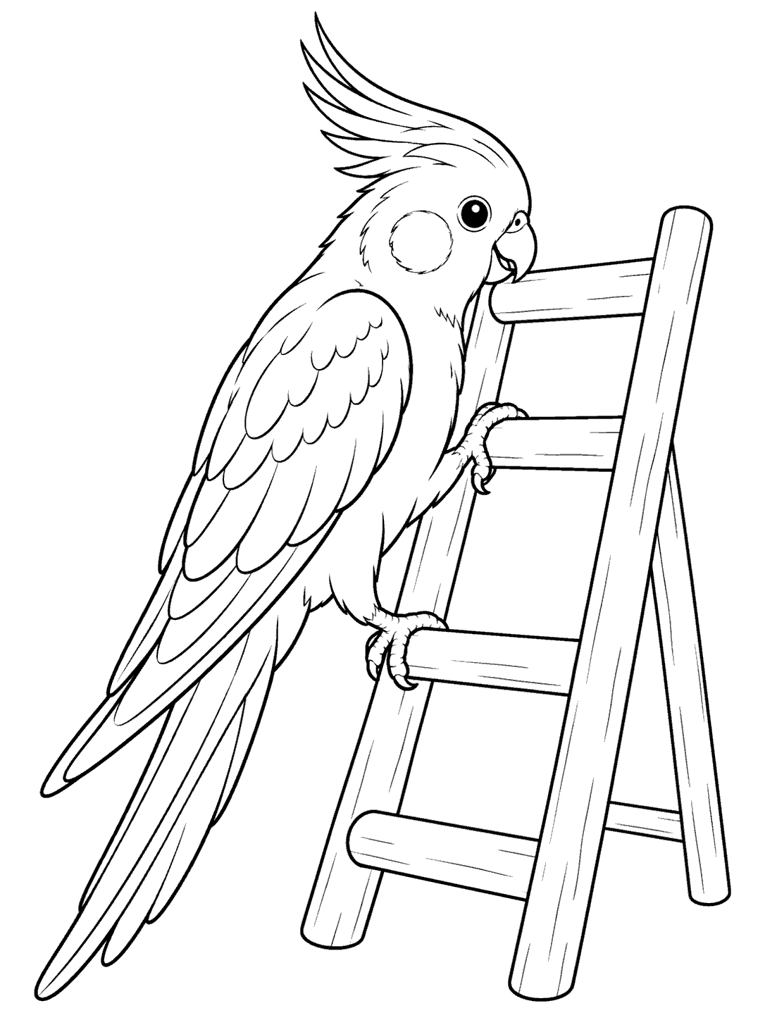 Black and white coloring page of a cockatiel climbing a ladder, with its crest, cheek patch, wings, and long tail visible.