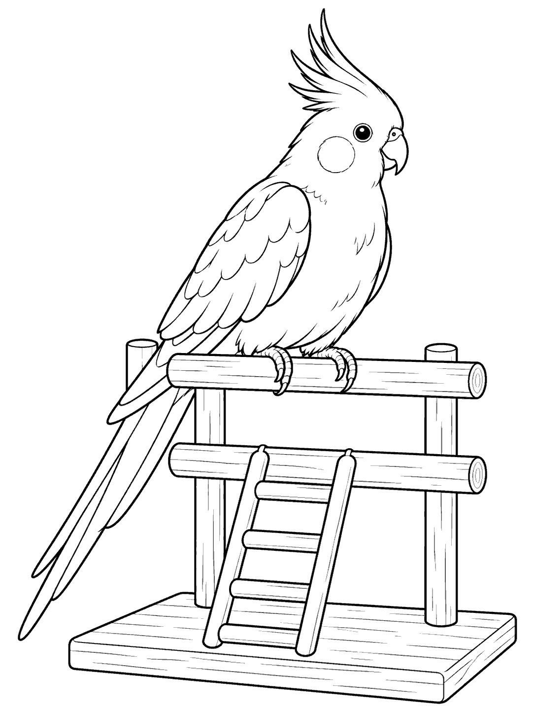 Black-and-white cockatiel with a tall crest, cheek patch, hooked beak, and long tail perched on a two-perch stand with a ladder.