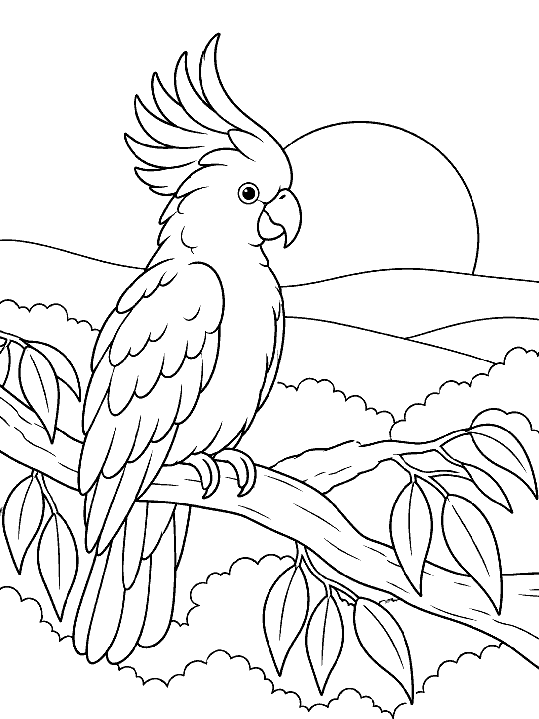 Cockatoo resting on a branch at sunset coloring page