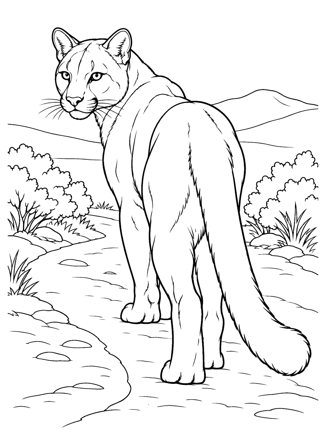 Cougar looking back on a winding trail coloring page