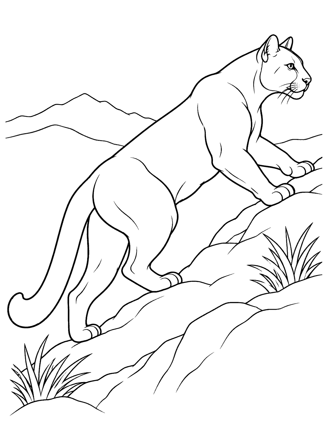 Black-and-white printable coloring page of a cougar climbing a hillside with grass clumps and distant ridges