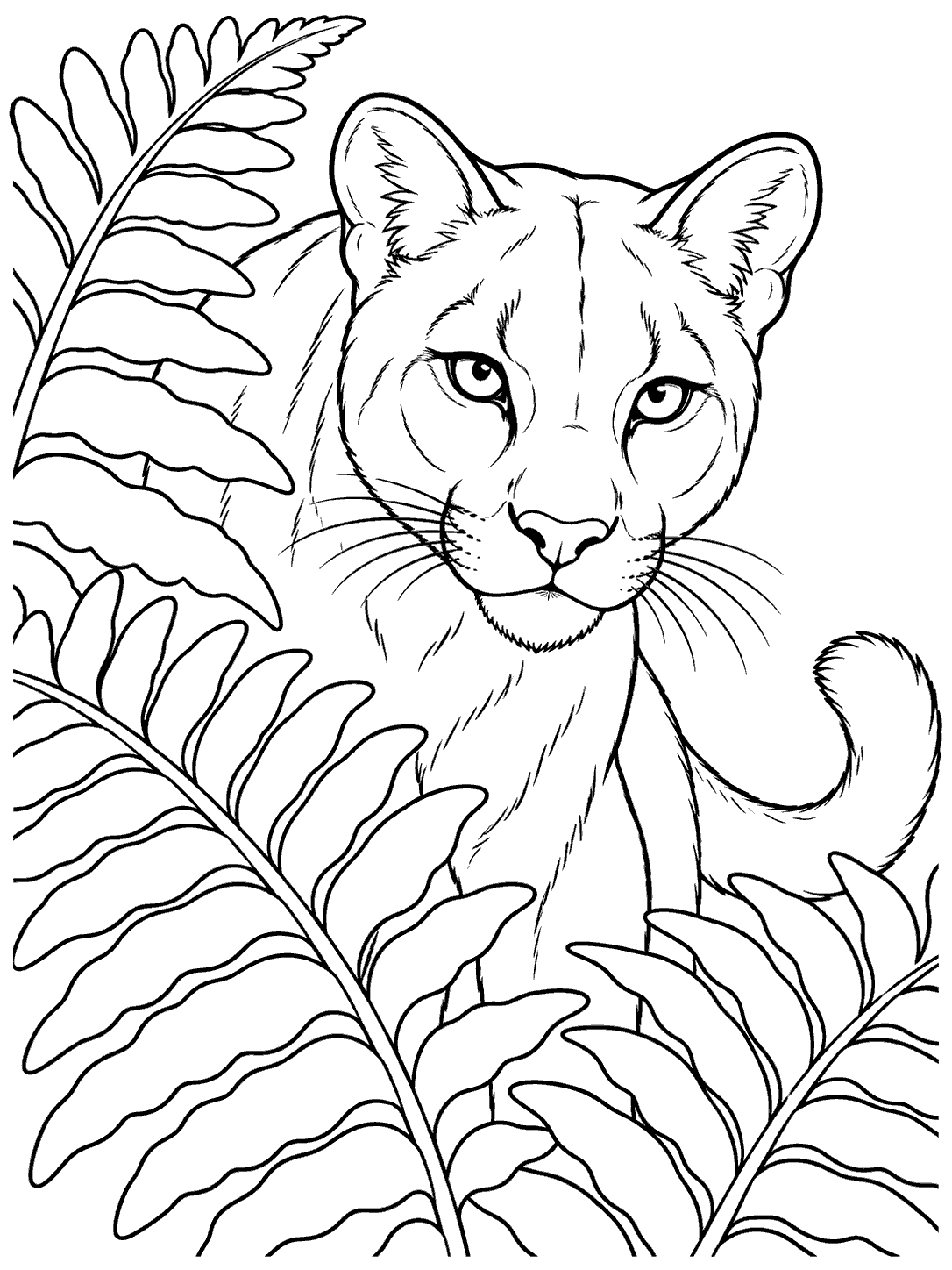 Cougar peeking through large fern leaves coloring page