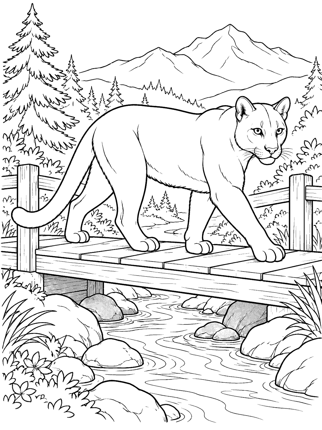 Black-and-white coloring page of a cougar walking across a wooden footbridge over a rocky stream, with trees and mountains behind it.