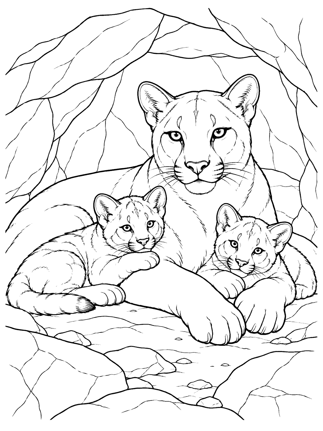 Cougar mother and two cubs resting in a rocky den