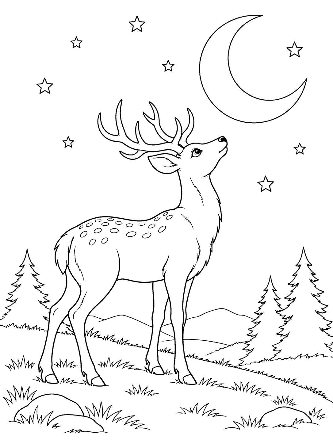 Line-art deer on a grassy hill beneath a crescent moon and stars, with outlined pine trees in the distance