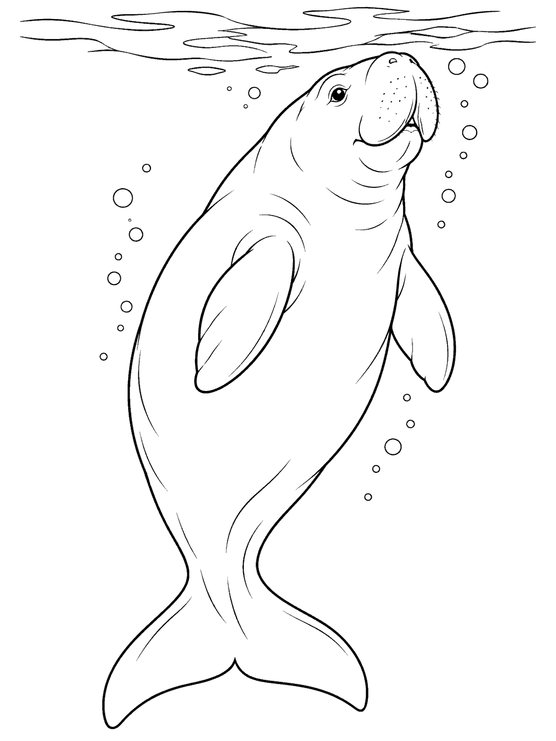 Dugong gliding upward toward the water surface coloring page