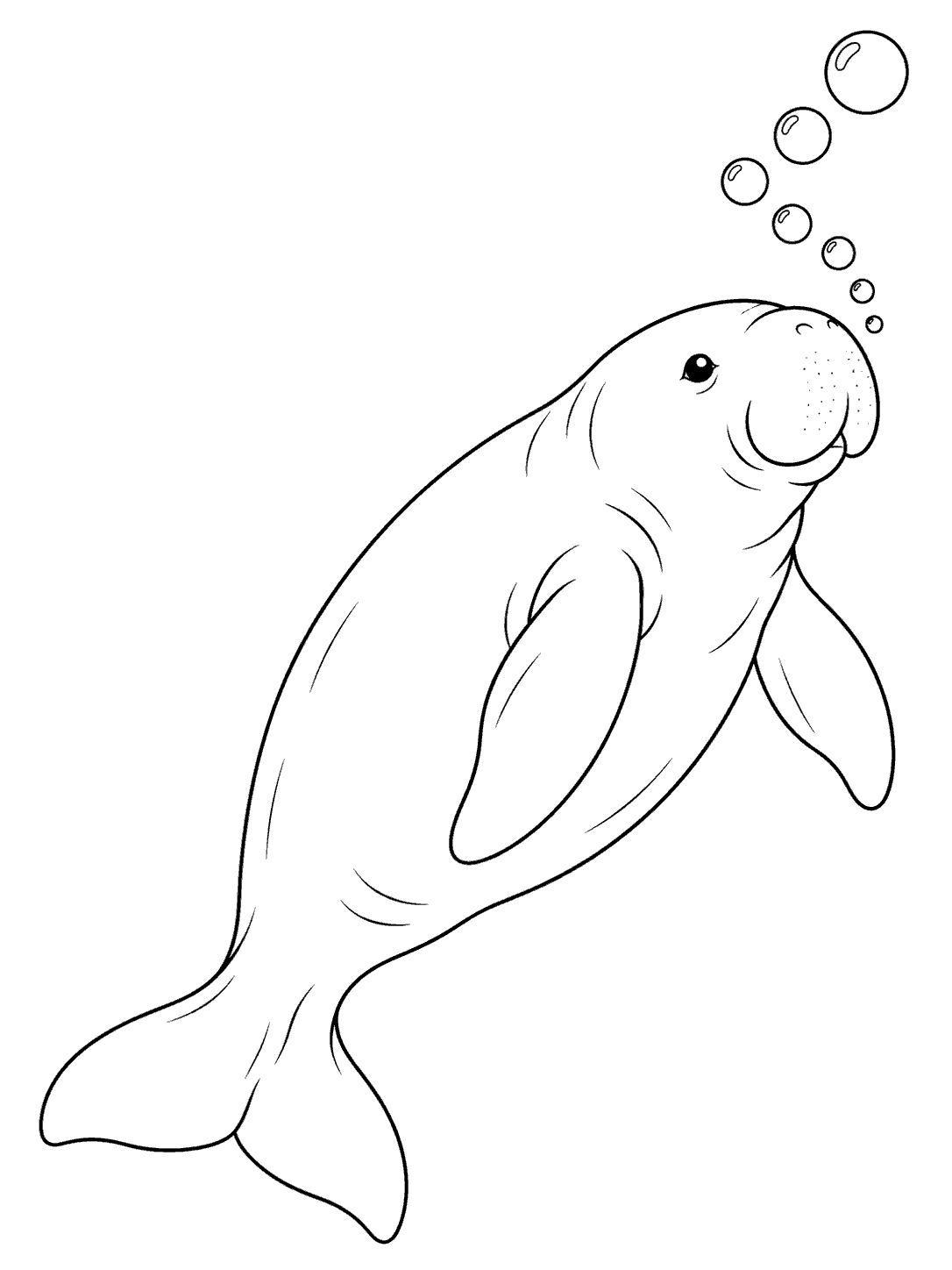 Dugong swimming with a trail of bubbles coloring page