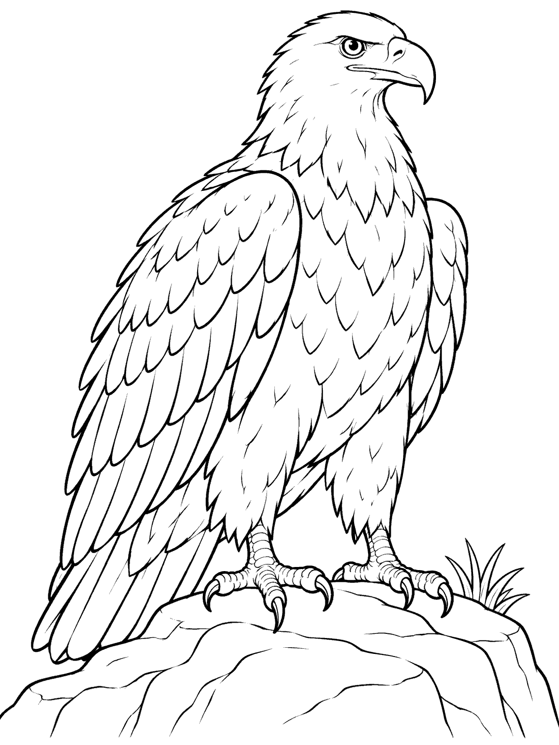 Upright eagle with a hooked beak and layered feathers standing on a rocky ledge beside a small tuft of grass.