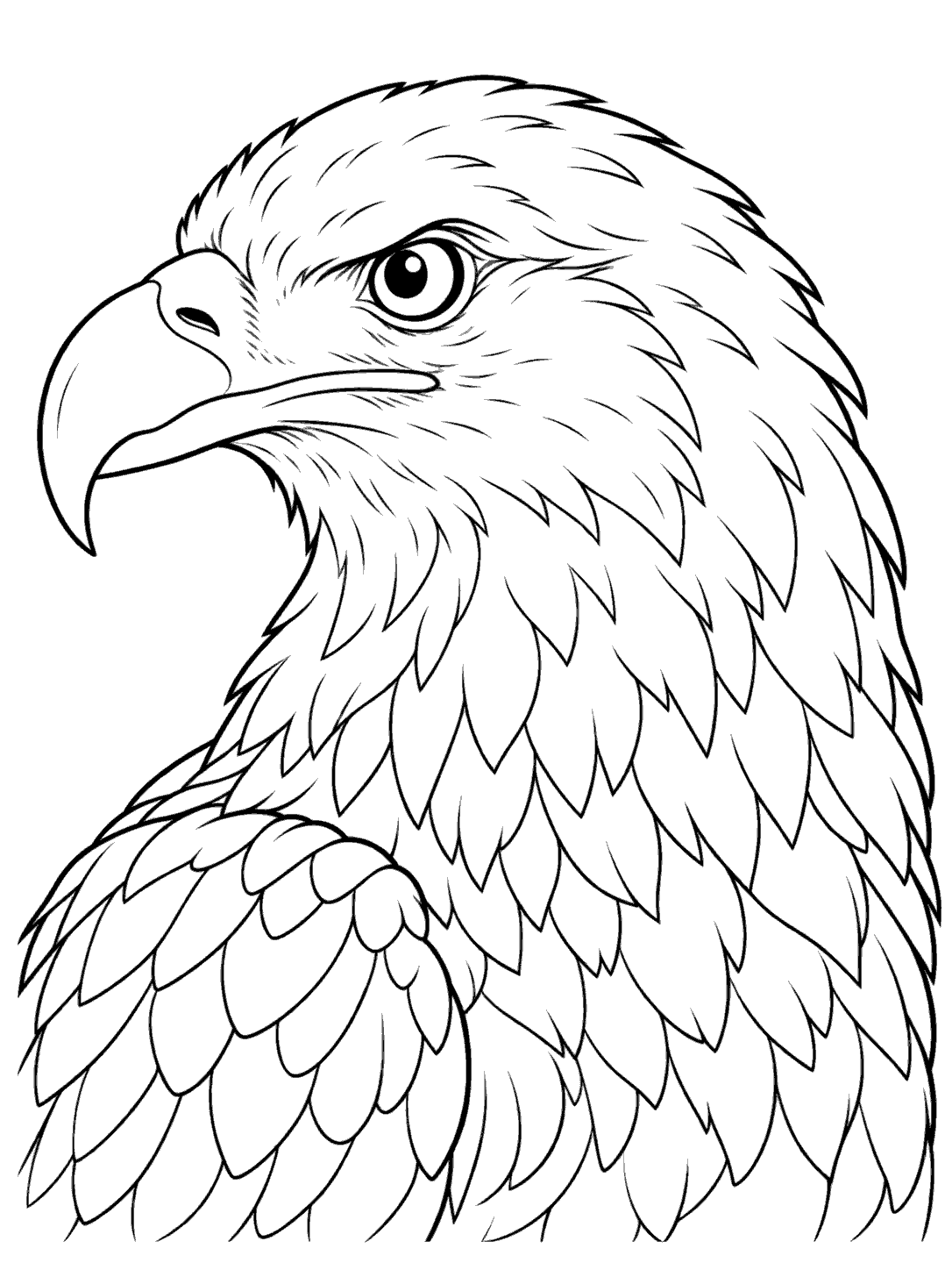Portrait coloring page of a bald eagle in left-facing profile with a hooked beak, focused eye, and layered neck feathers.