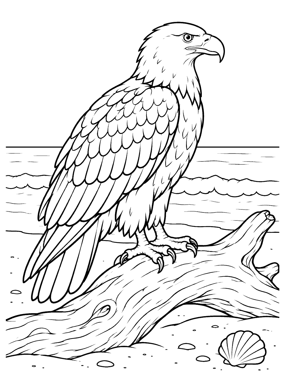 Side-view eagle perched on driftwood above shore waves, with a shell near the lower edge