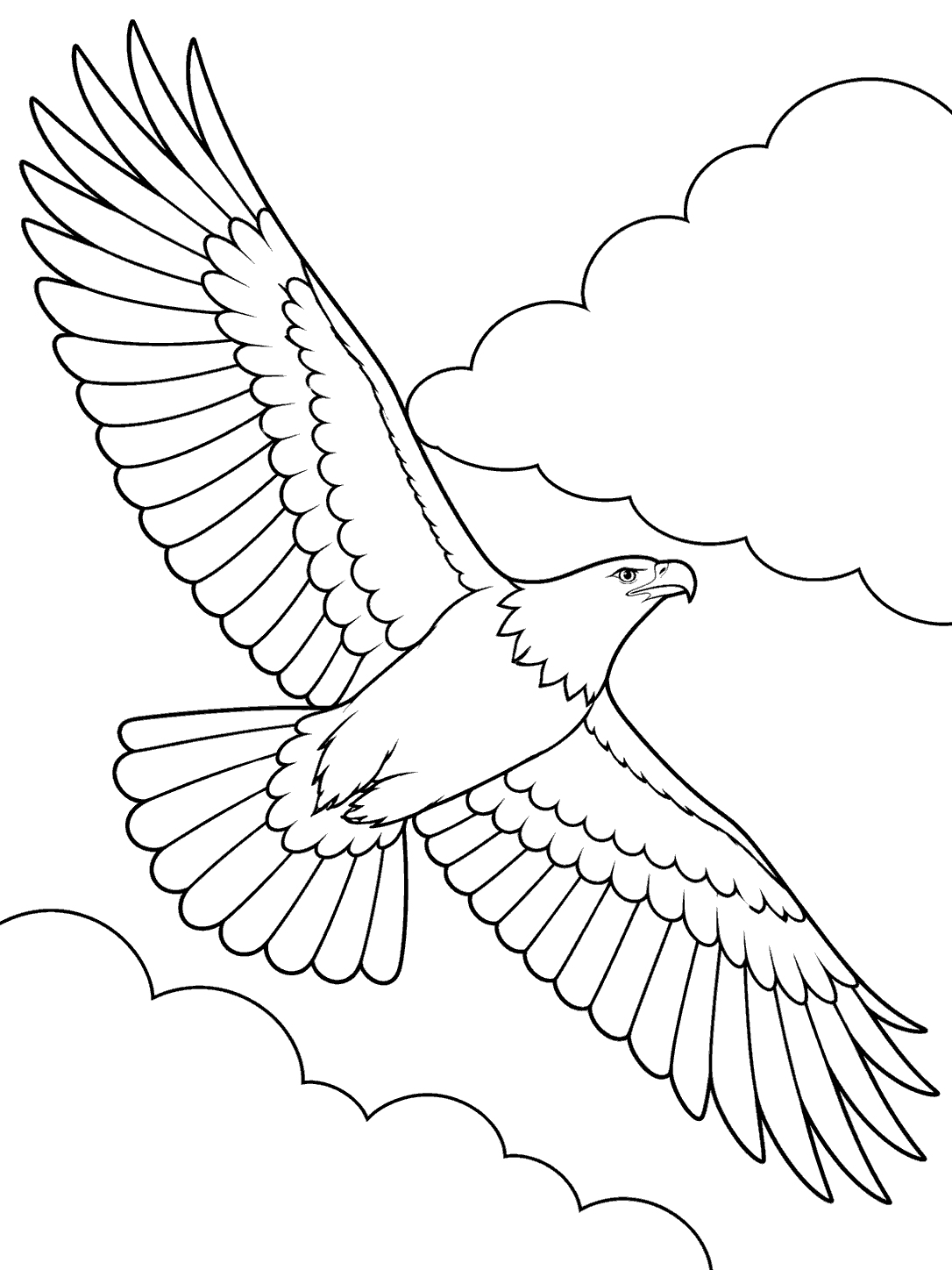 Eagle gliding between large clouds