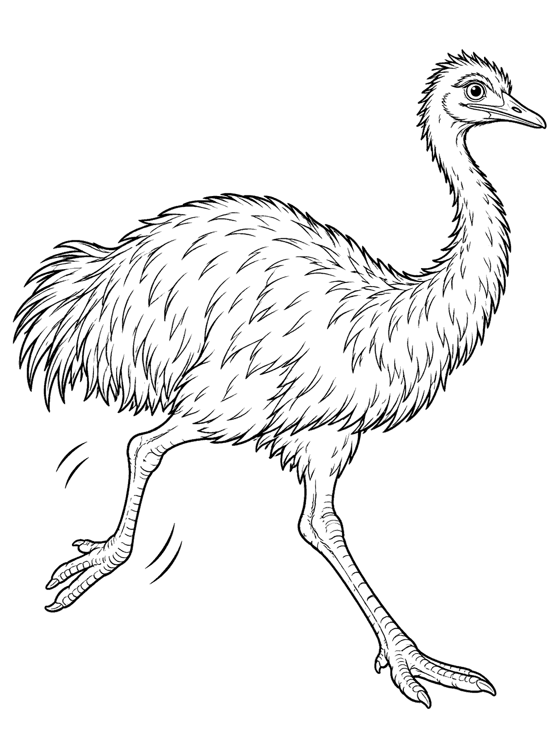 Adult emu running in a mostly empty coloring page, with both feet and tail visible.