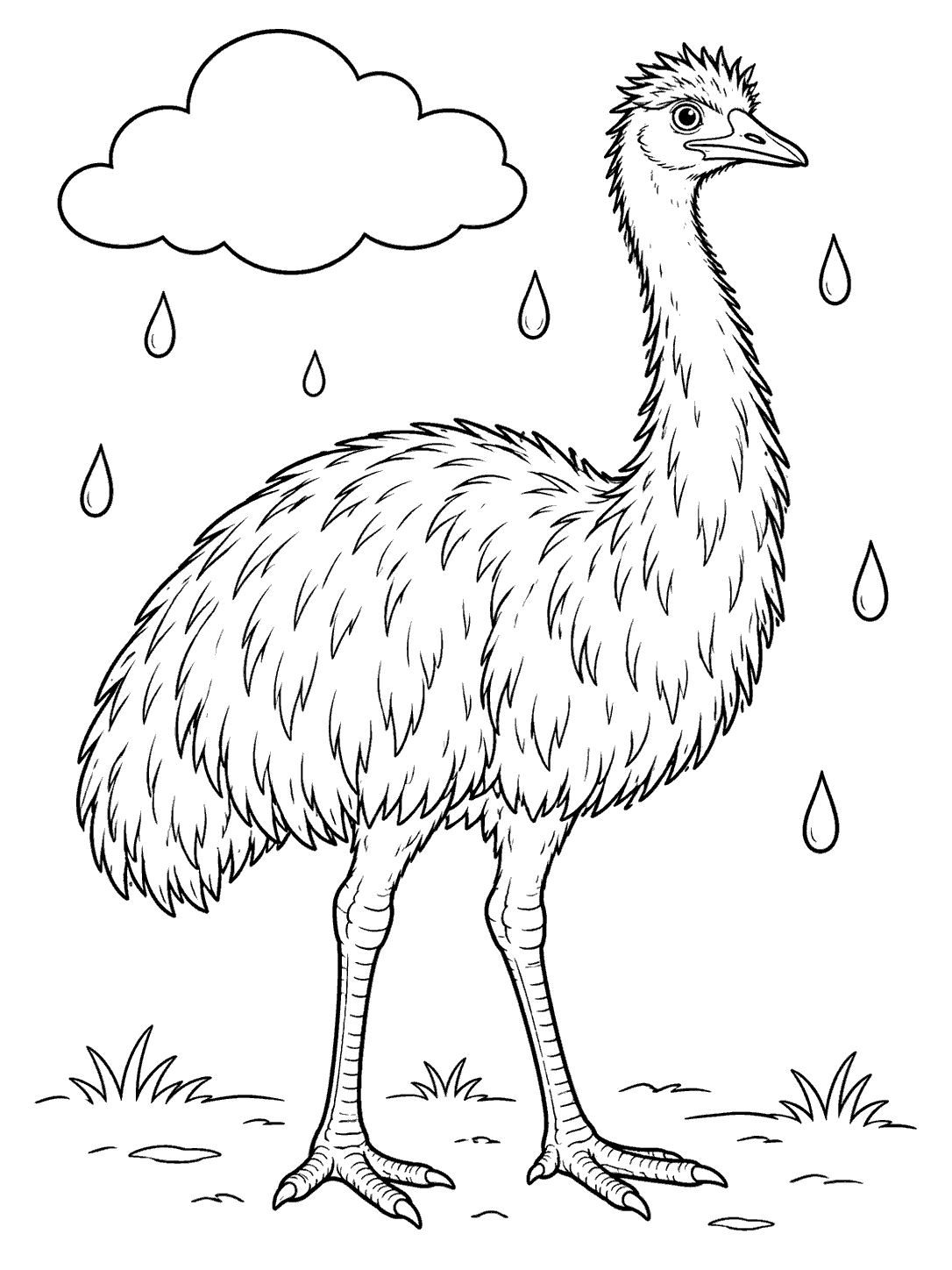 Full-body emu standing in light rain coloring page