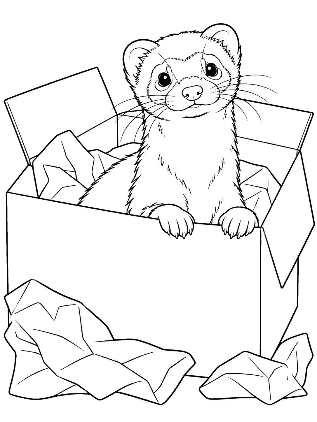 Printable black-outline coloring page of a ferret resting its paws on a cardboard box rim, with packing paper nearby.