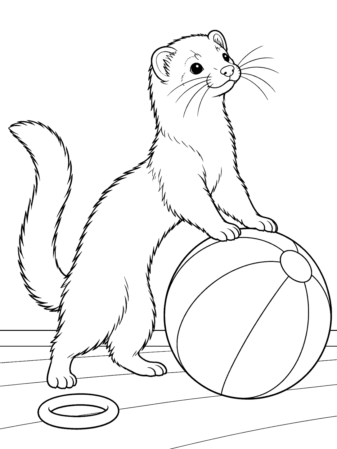 Playful ferret balancing its front paws on a large ball, with a toy ring nearby.