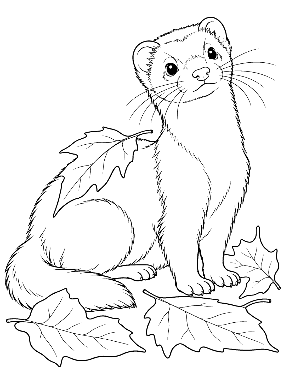Portrait black-outline coloring page of a curious sitting ferret surrounded by large leaves, one leaf resting across its back.