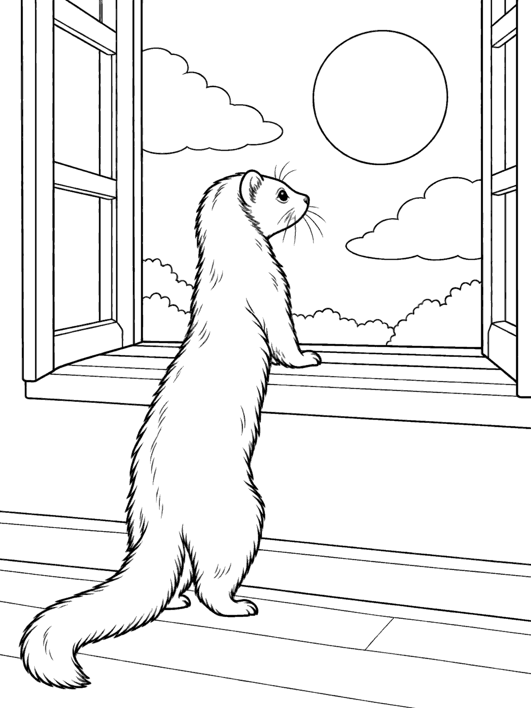 Curious ferret looking out a window at the sun and clouds, coloring page