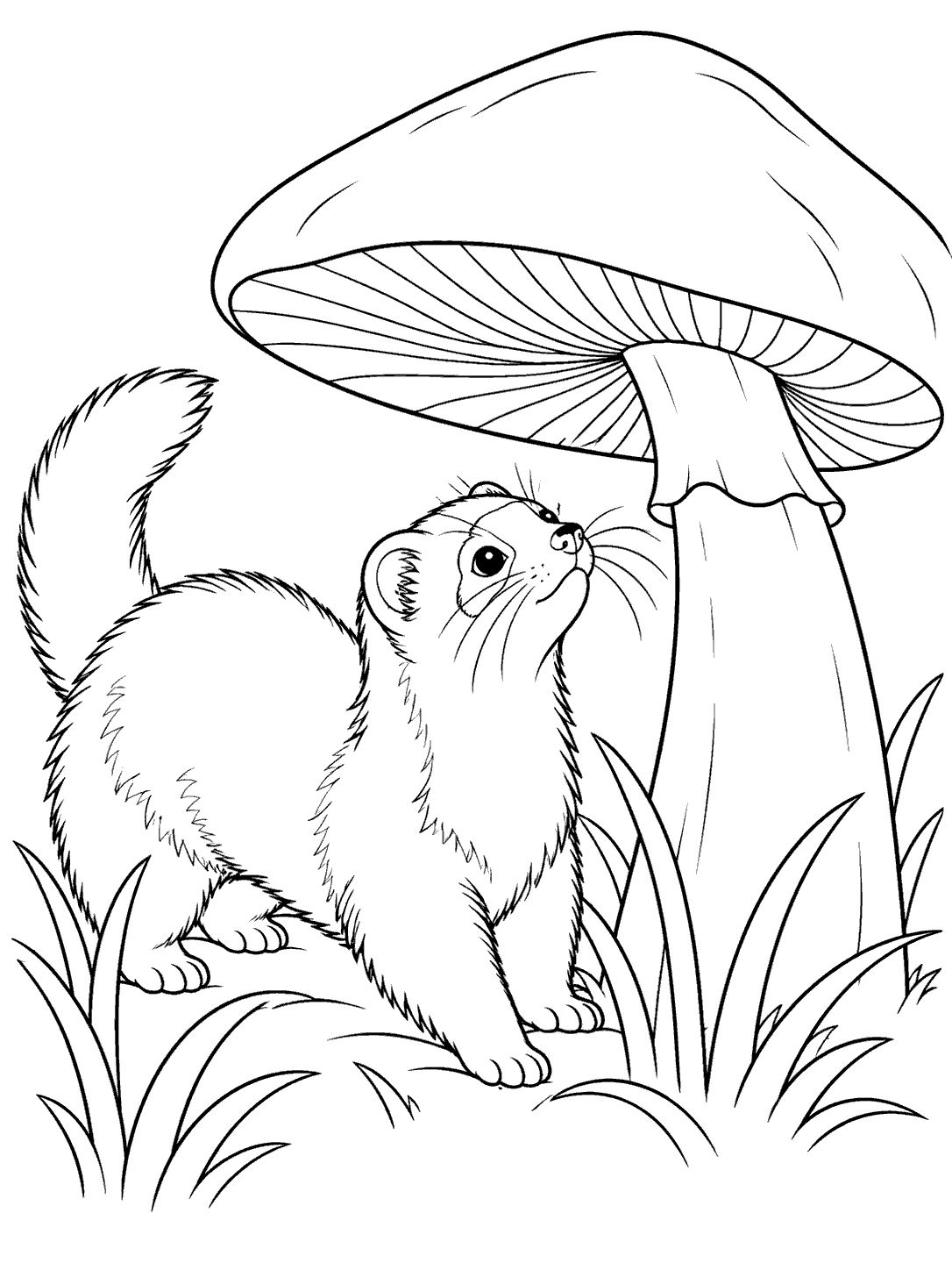 Ferret beside a large mushroom coloring page