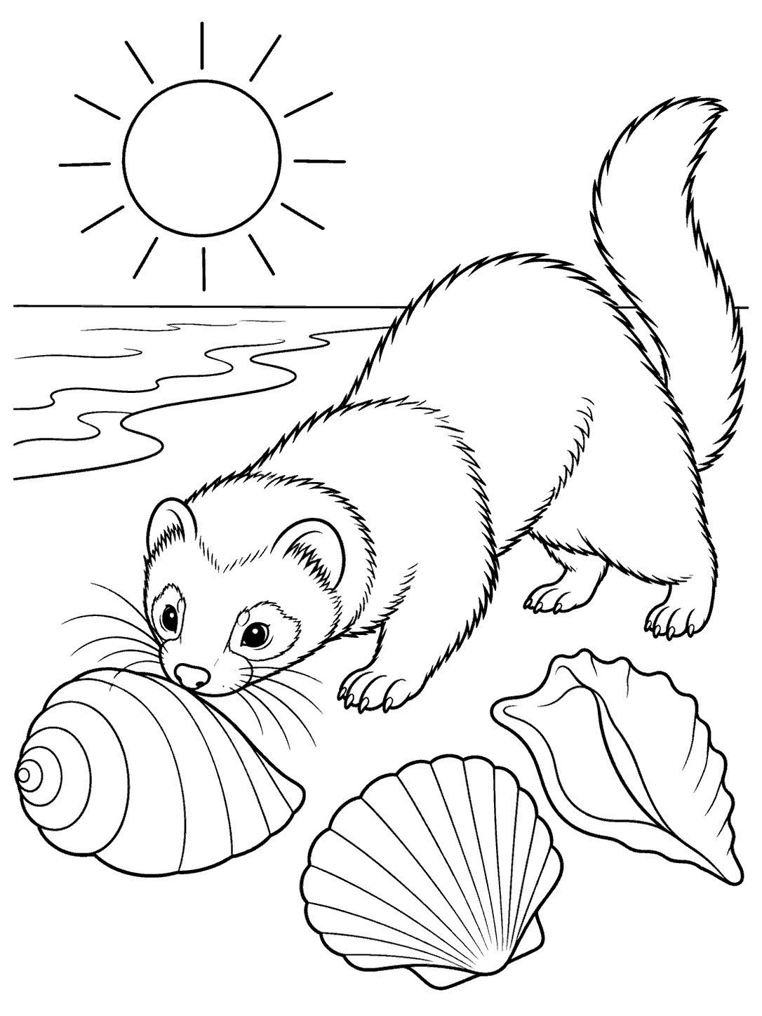 Ferret sniffing three seashells beneath a sunny beach sky coloring page