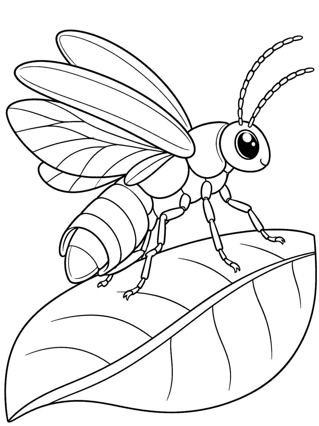Single firefly in profile with clear wings and an open abdomen, standing on a large curved leaf with a bold center vein and short side veins.
