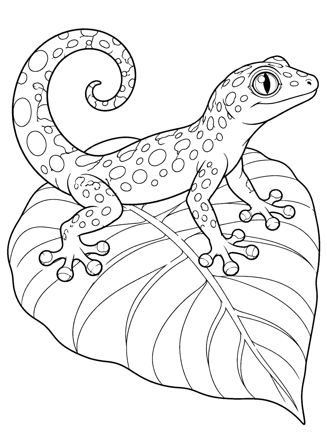 Black-and-white line art of a large-eyed gecko with rounded toe pads standing on a broad tropical leaf, its spotted tail curled into a loop.