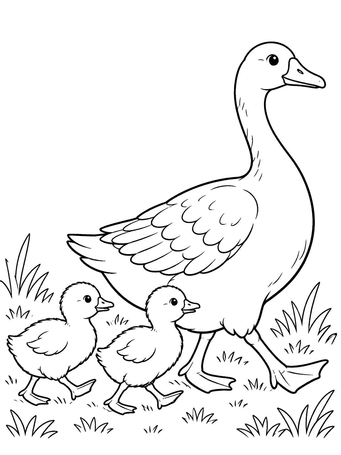 Parent goose walking with two goslings