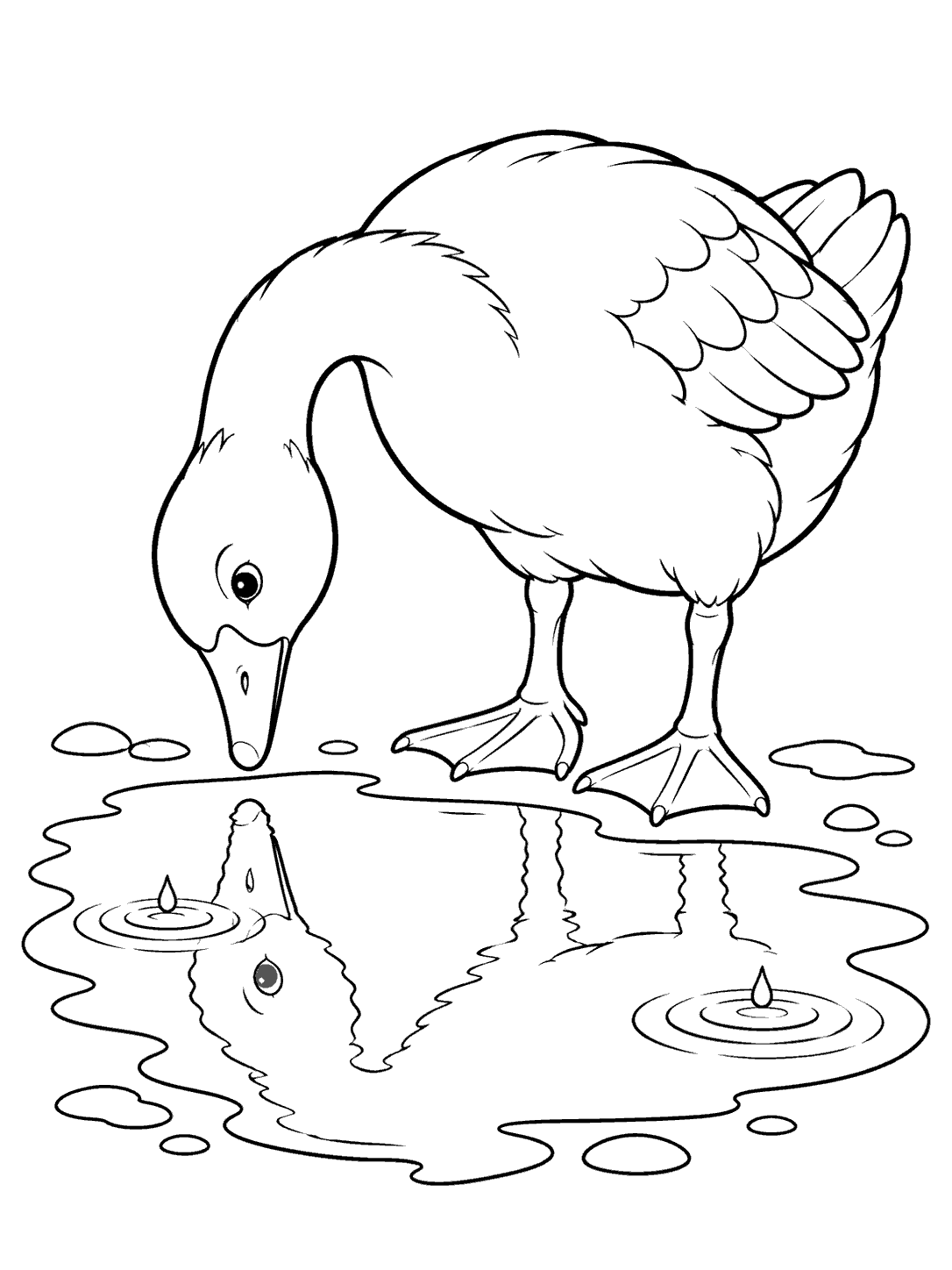 Black outline coloring page of a goose peering into a puddle with its reflection and raindrop rings