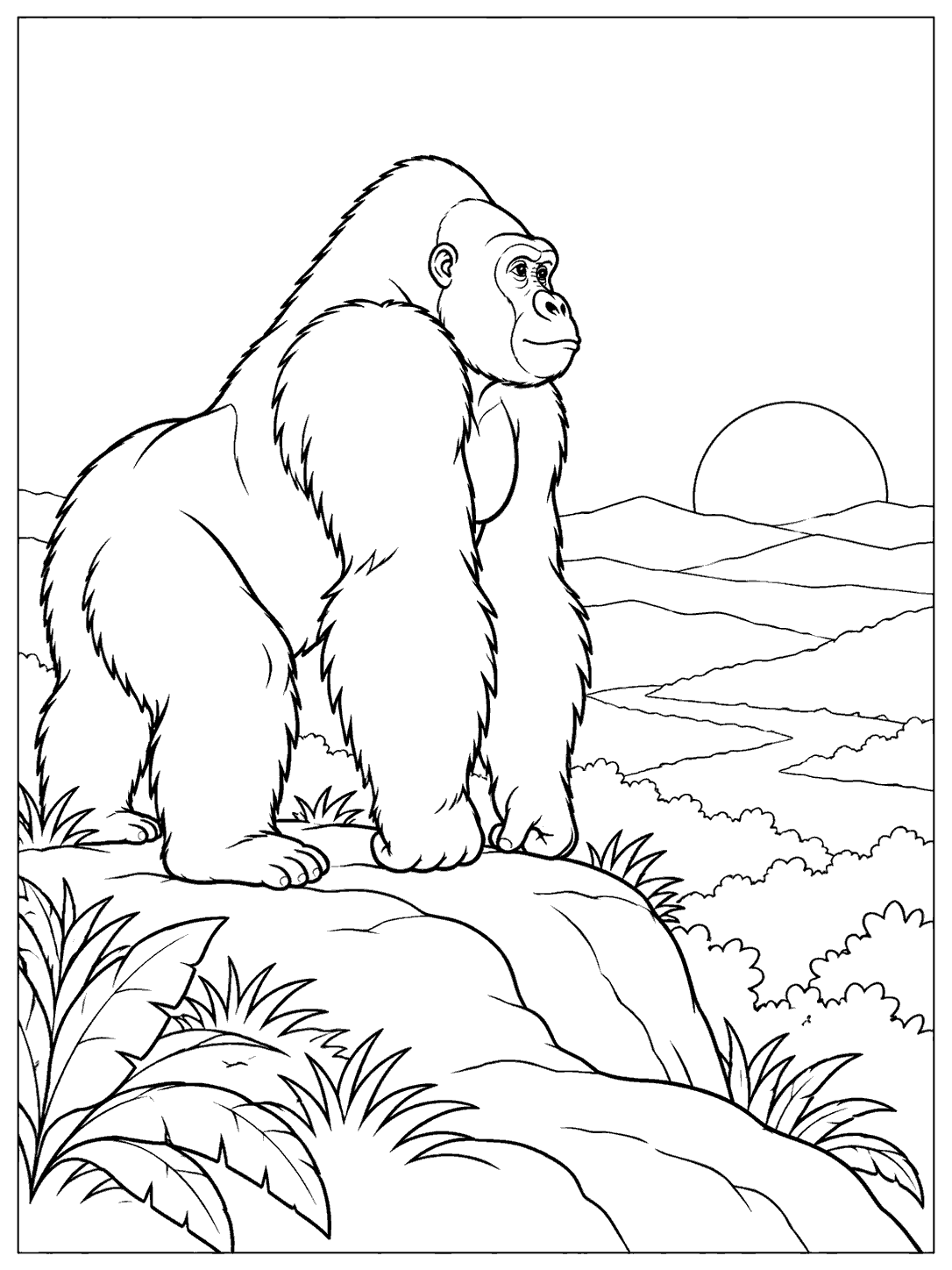 A three-quarter-profile gorilla stands on a rise, looking toward a low sun over layered hills.
