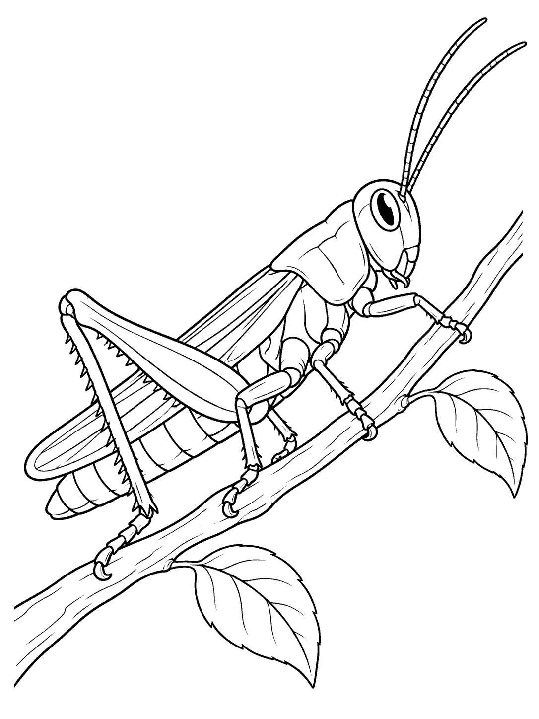 A large grasshopper grips a curved branch with six legs as its antennae sweep upward; two leaves grow beside the branch.