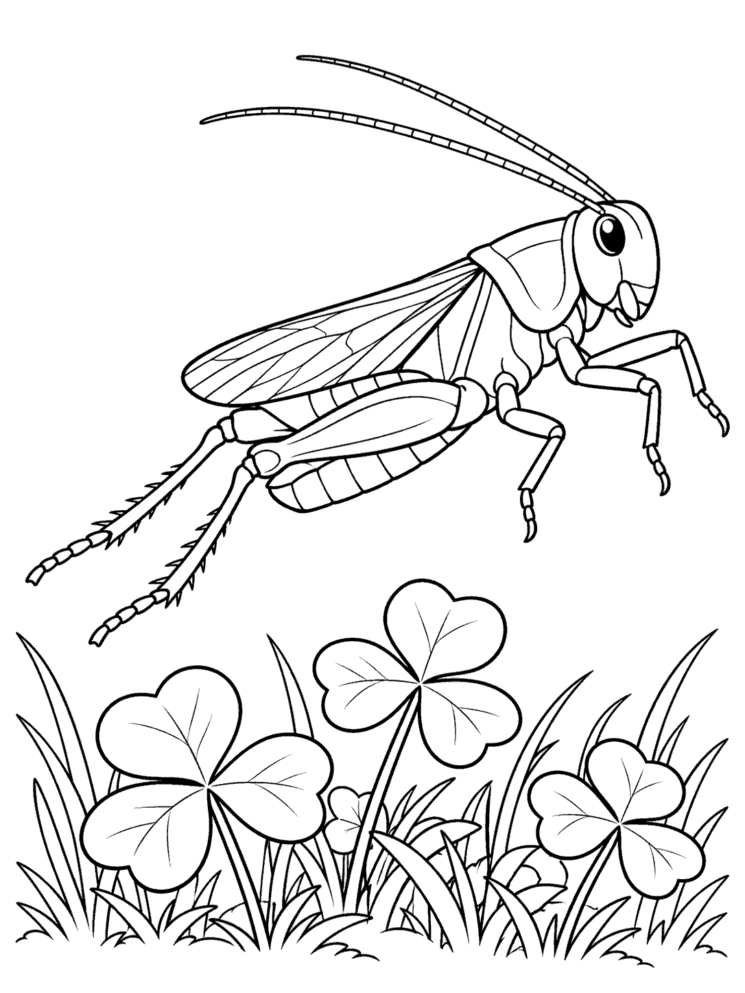 A large line-art grasshopper with long antennae and extended hind legs above a patch of clovers and grass.