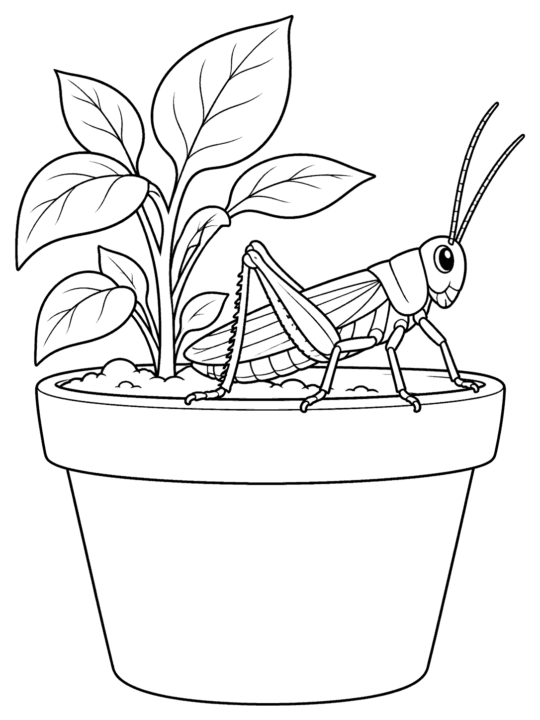 Profile view of a grasshopper on a garden flowerpot with a leafy plant.