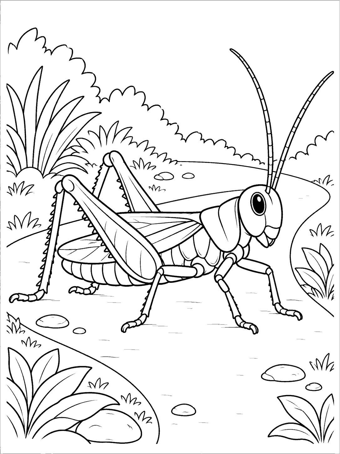 A large grasshopper with long antennae and bent hind legs walks along a curved garden path bordered by low plants and small stones.