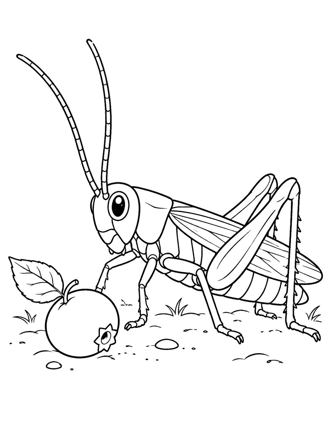 Black-and-white coloring page showing a large side-view grasshopper with long antennae beside a round fallen berry and leaf, with a few ground marks.
