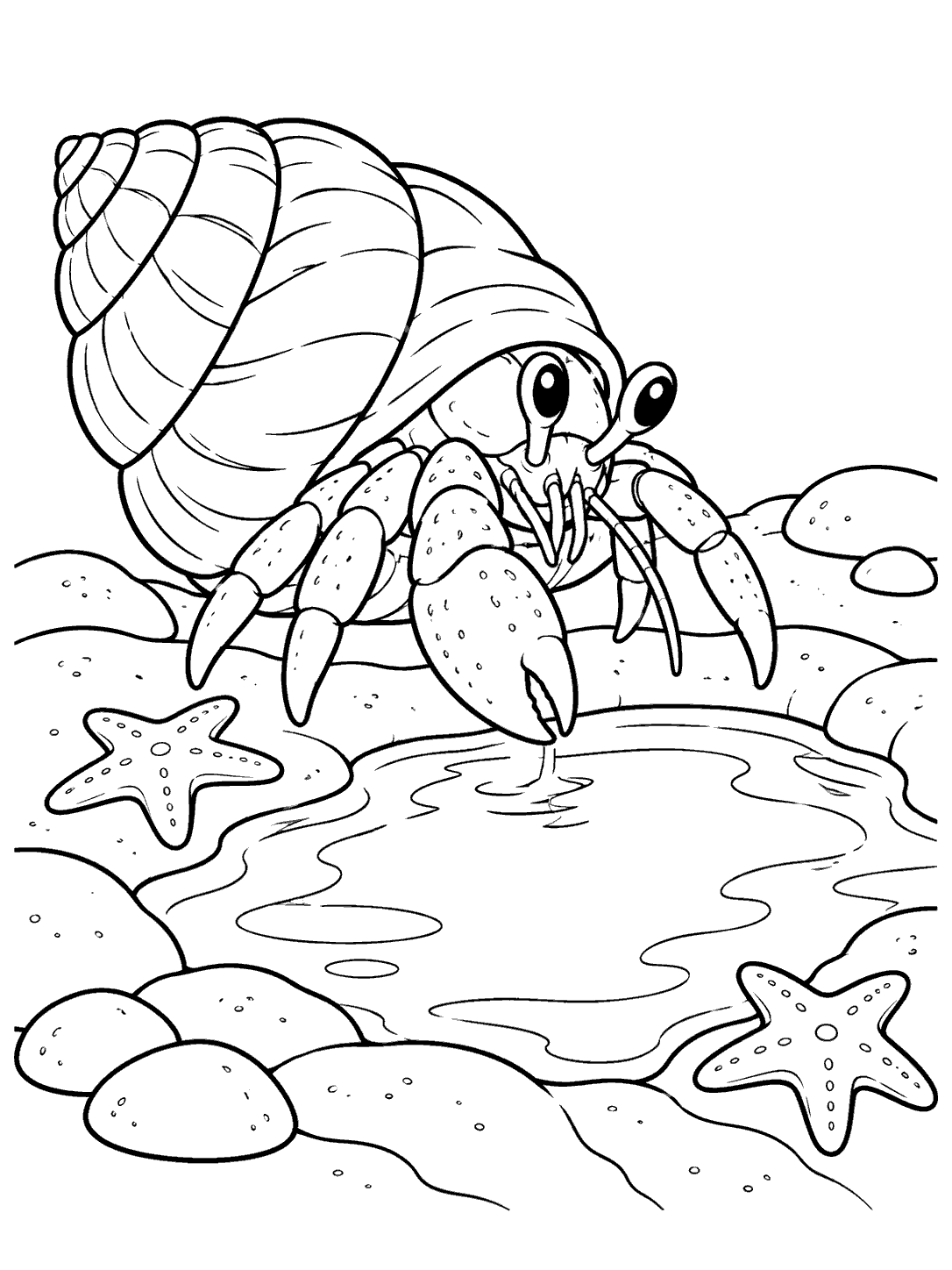 Hermit crab leaning toward a tide pool, with rounded stones and two starfish.