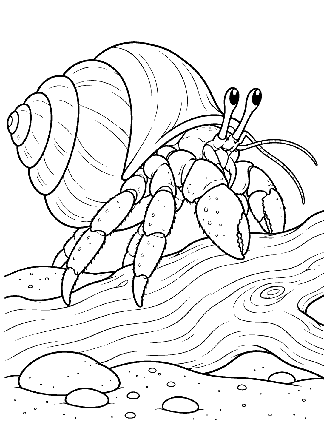 Hermit crab climbing across driftwood on a beach