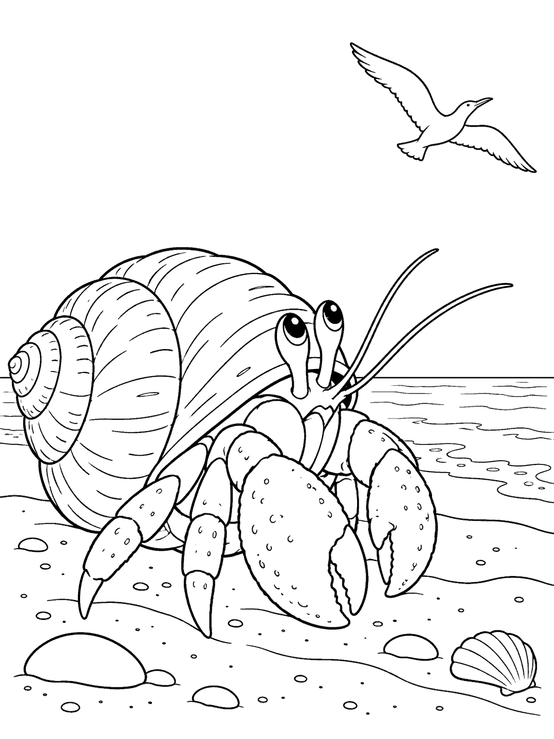 A large hermit crab on the beach looking up at an outlined seagull flying overhead.