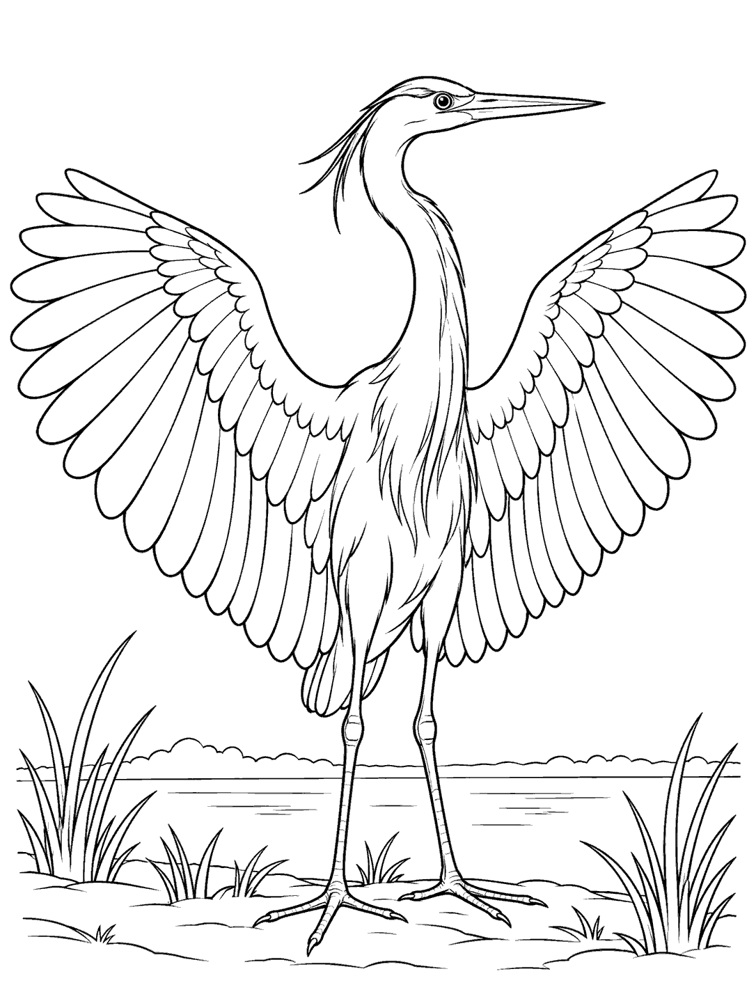 Black-outline coloring page of a heron stretching both wings over a marsh bank, with its neck upright and legs visible.