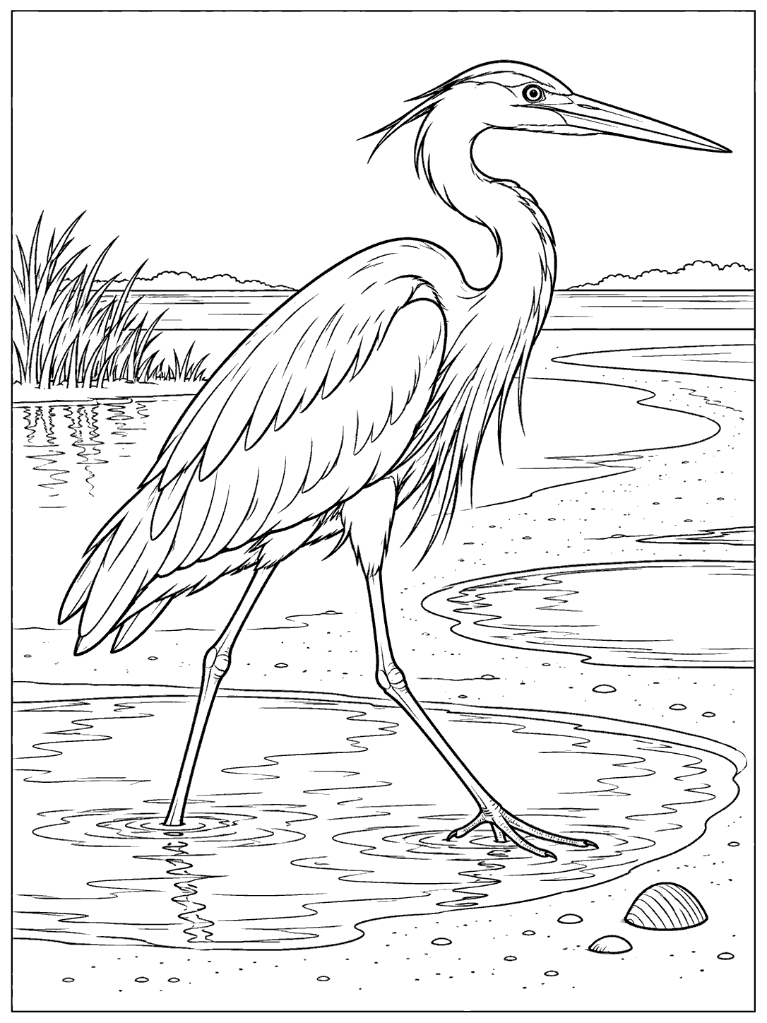 Black-outline coloring page of a long-legged heron walking through an estuary, with tidal pools, grasses, and a shell.