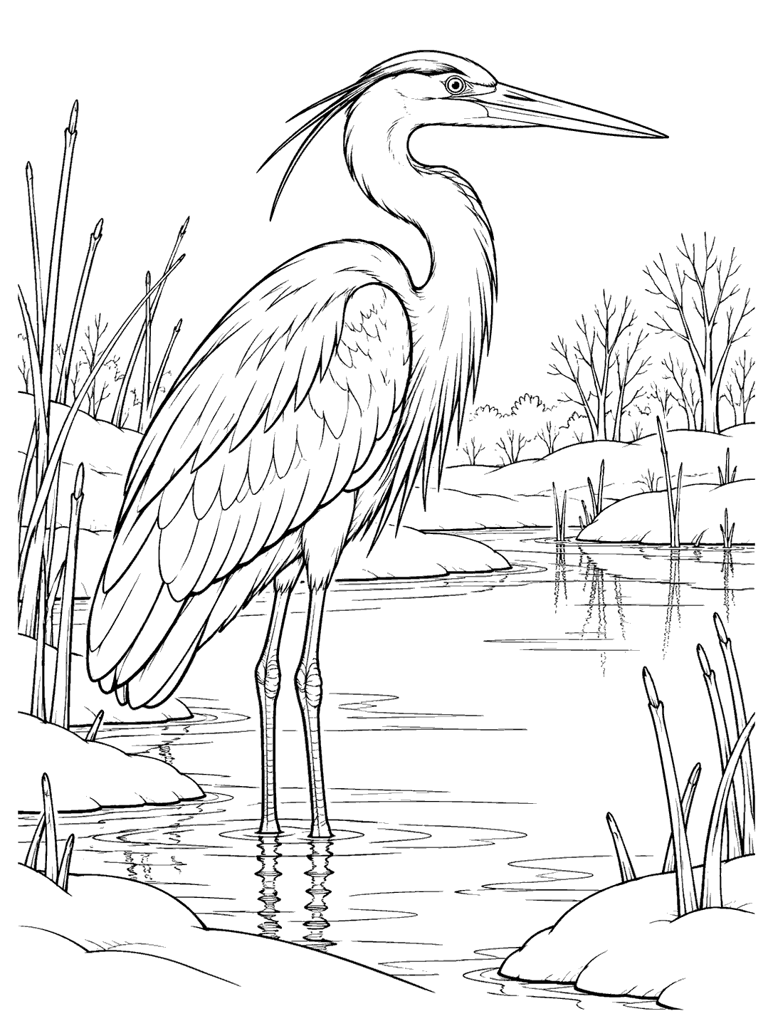 Black-outline coloring page of a heron standing in a winter marsh, with bare reeds, leafless trees, a still pool, and snow-covered banks.