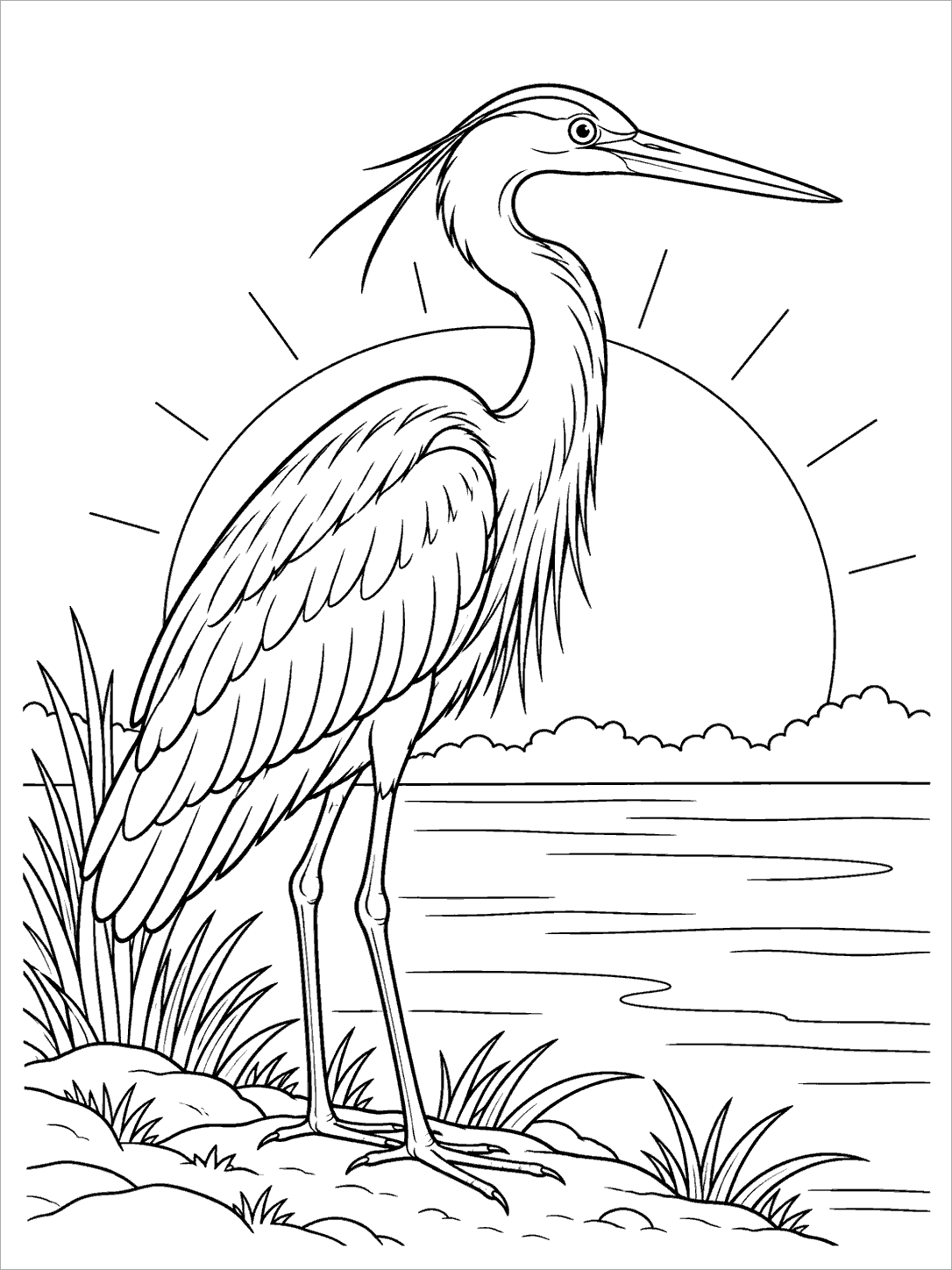 Black-outline coloring page of a heron beside a rising sun, standing on a pond bank with reeds and horizontal water lines.