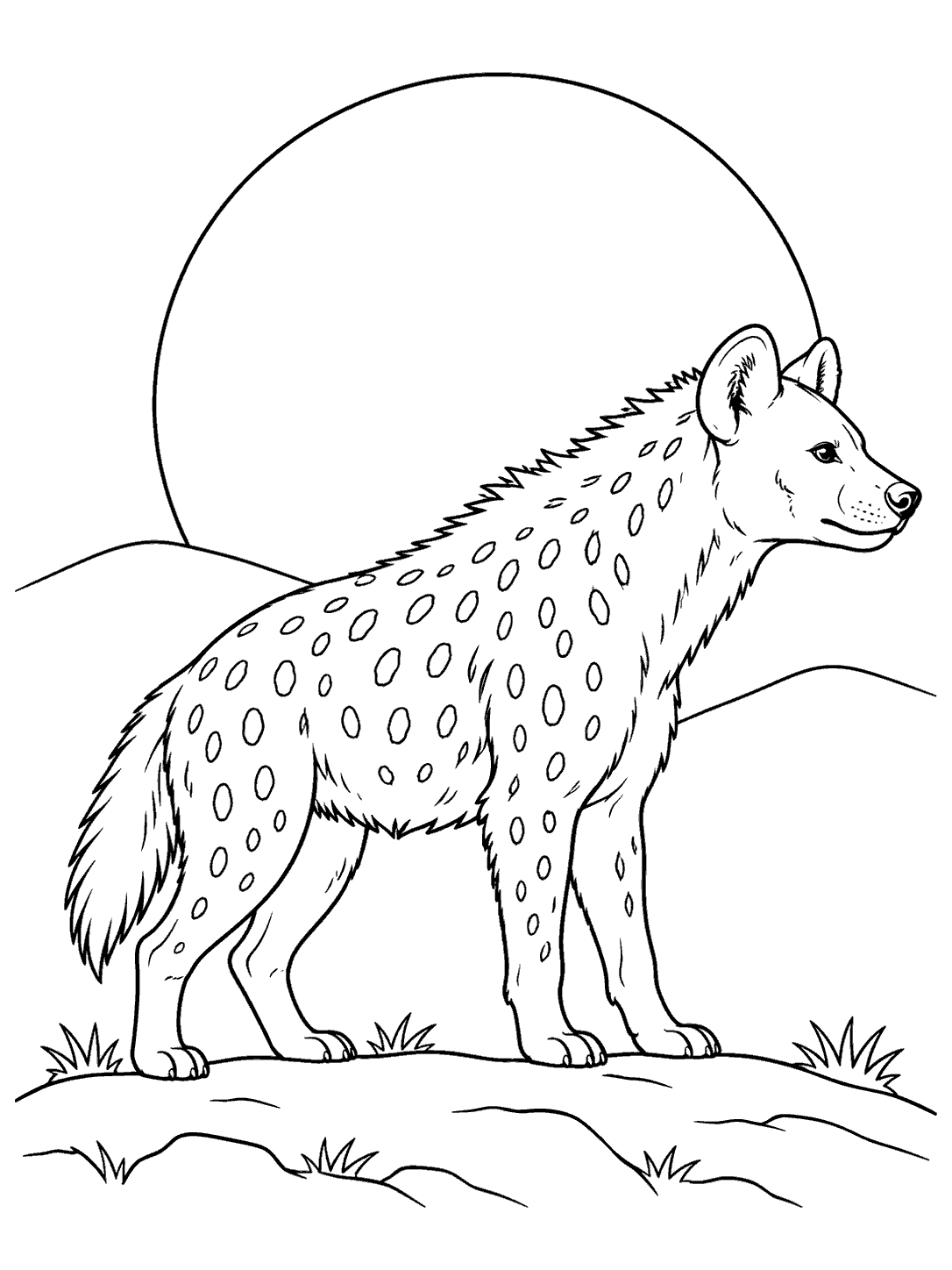Spotted hyena with rounded ears and spots standing before a large rising sun and distant hills