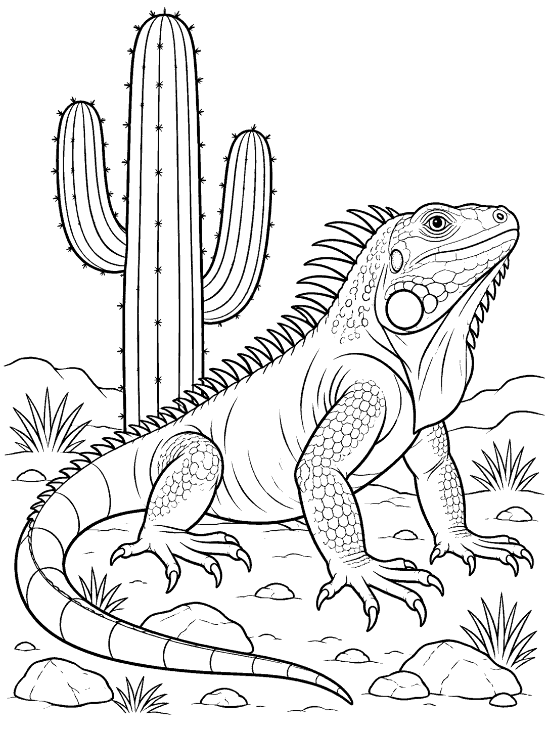 Detailed iguana with a curved tail beside a tall saguaro cactus, rocks, and sparse grass